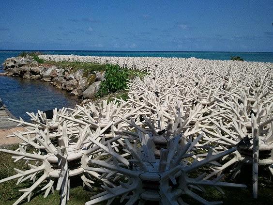 Thinking Outside the Fence: Broaden Your Boundaries with Man Saver Post Drivers