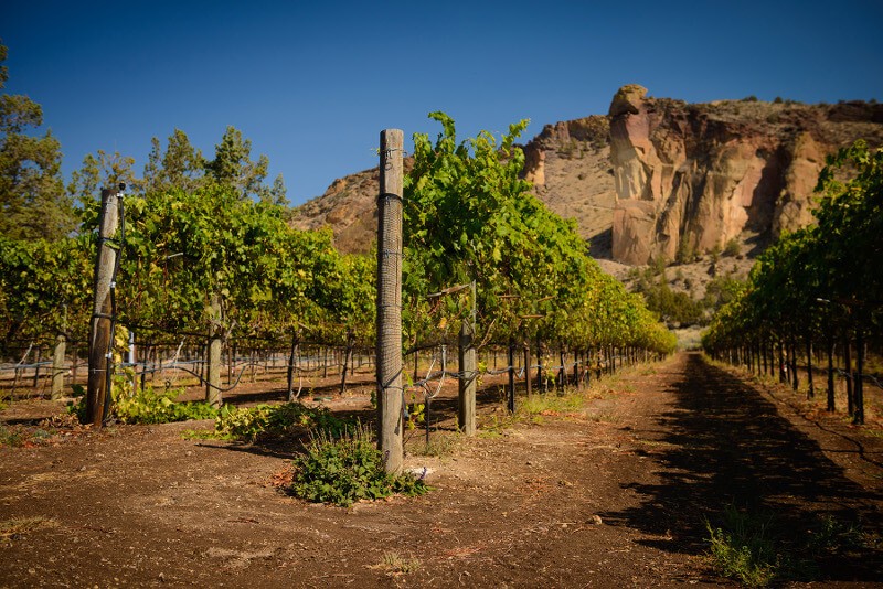 Building a fence? What to know before you begin.