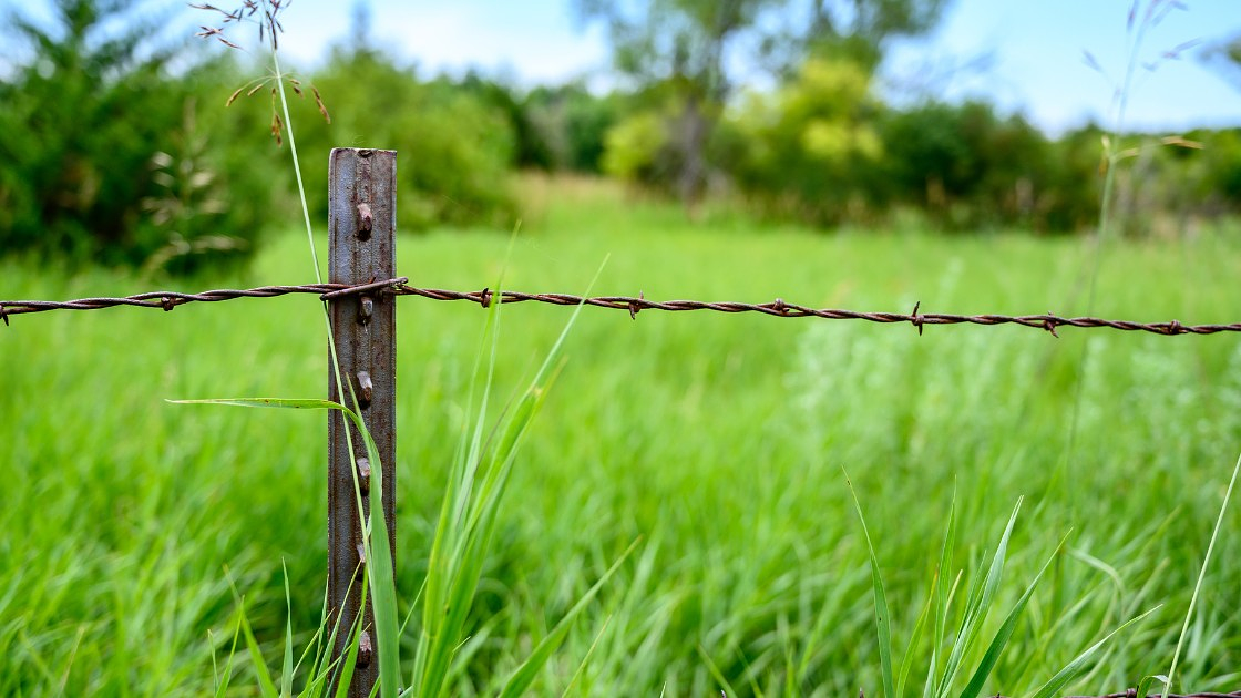 How to Install T-Post Fencing