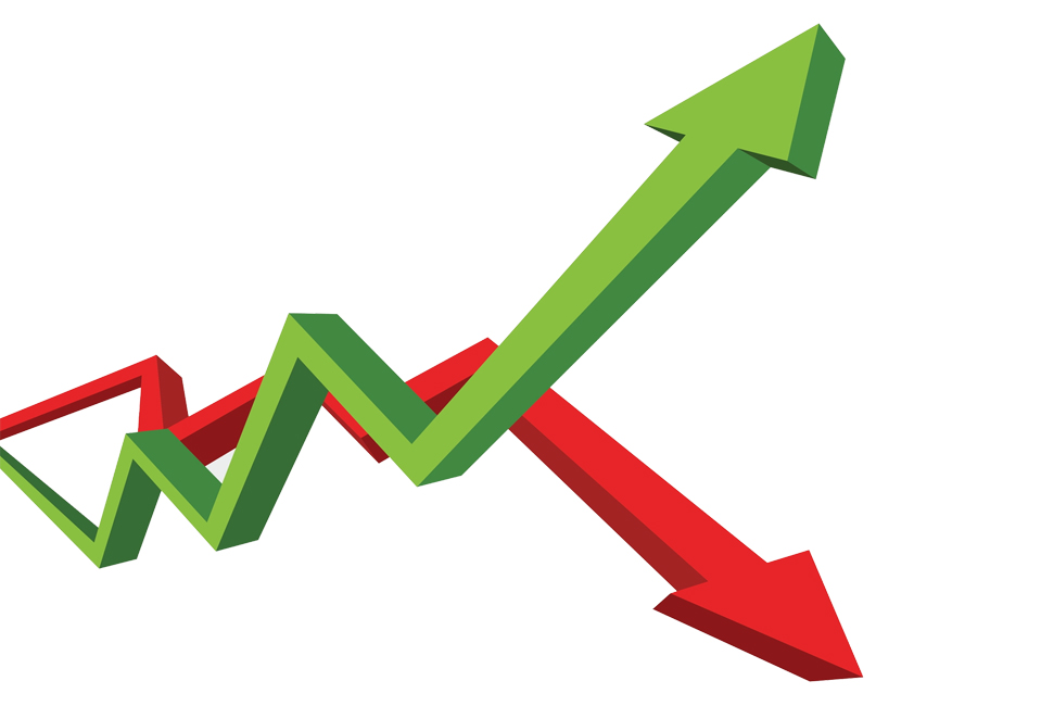 Thriving in the Economic Slowdown? 