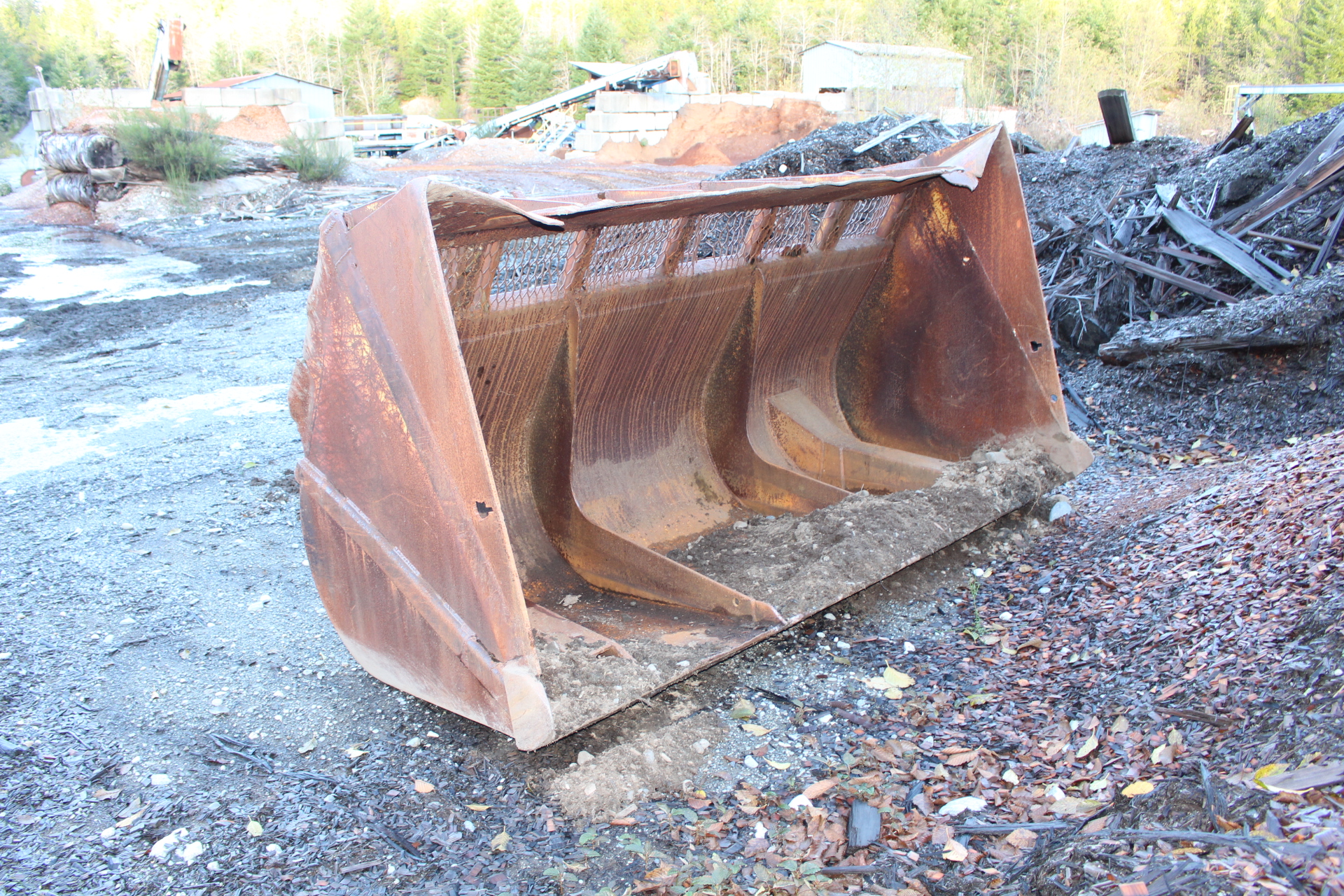 PAST AUCTION- B & L Forest Products Ltd- Gold River Sawmill 