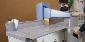 Riproduci video