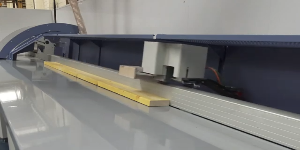Riproduci video