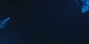 Riproduci video