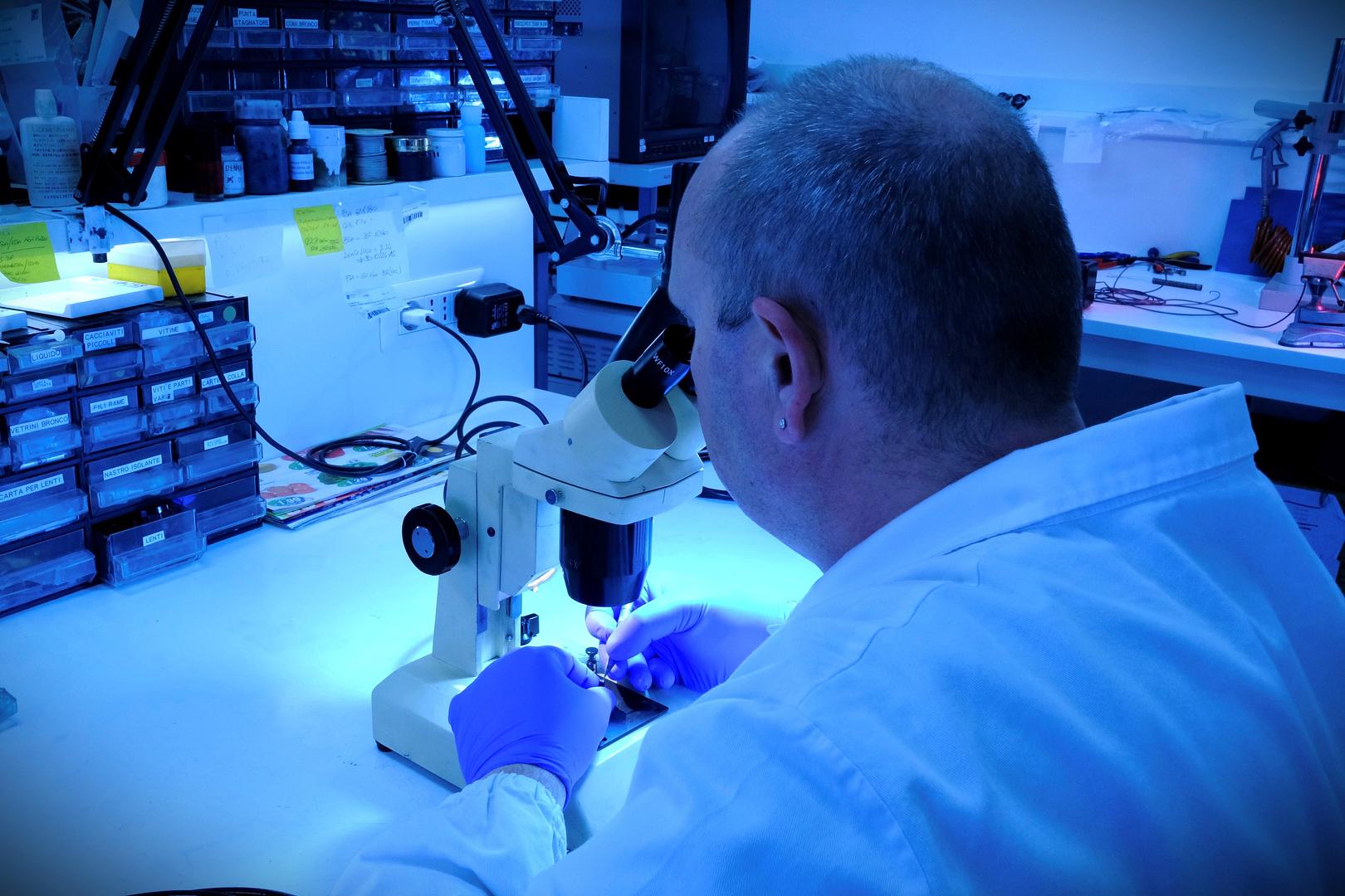 SMALL AND LARGE DIAMETER VIDEO ENDOSCOPES