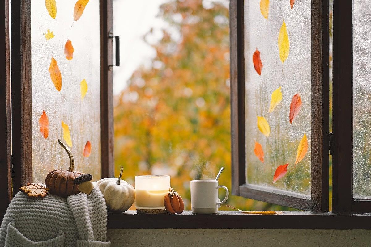 13 Tips to Prepare for a Blackout or Power Cut