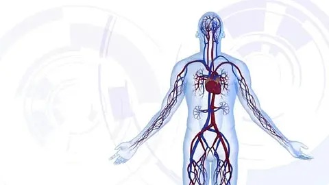 The TM-Flow System: What It Is and How It Can Help You?