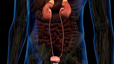 How to prevent and manage contrast-induced nephropathy (CIN)?