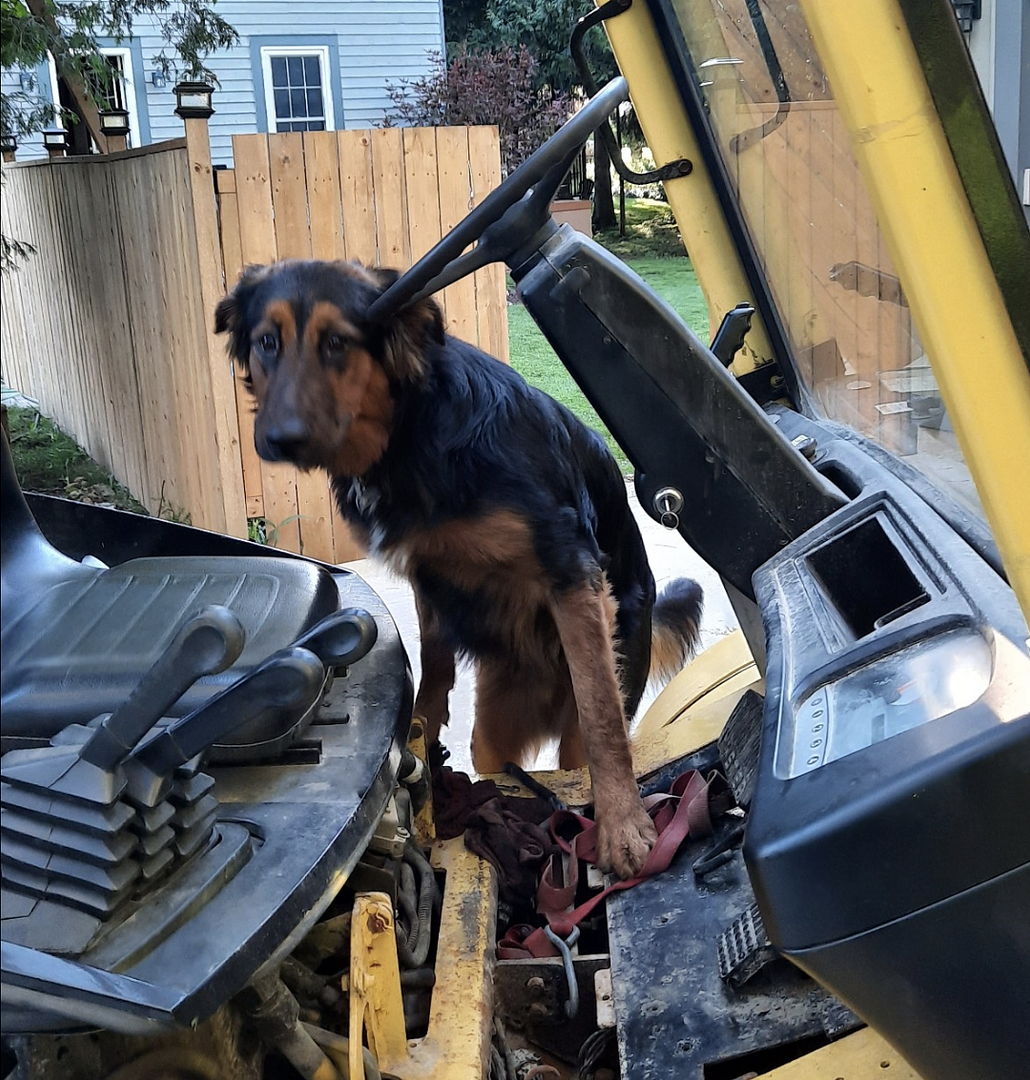 Screenshot_20240203-222953 (1).png