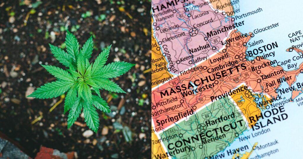 Massachusetts Bill Offers Cannabis Workplace Protections