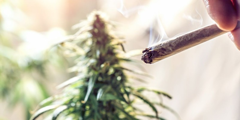 Study Explores Impact of Legal Cannabis Access on Mental Health