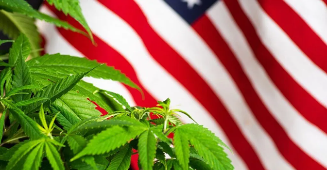 65% of Americans Now Back National Marijuana Legalization Per Poll