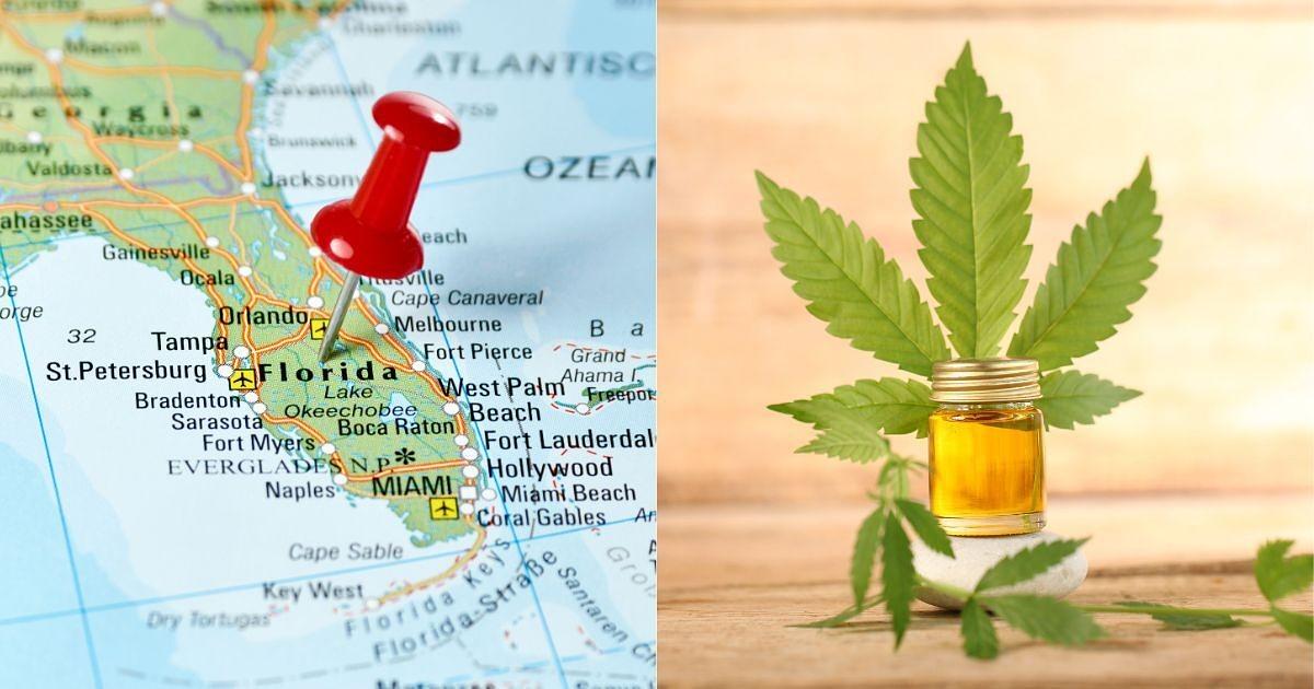 Florida Senate Passes SB 438, Possibly Bringing Major Regulatory Changes to the Florida Hemp I
