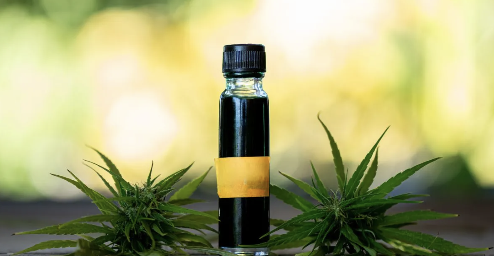 Rick Simpson Oil History - From Relief To Routine