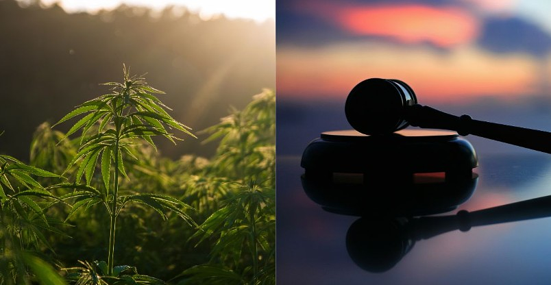 North Carolina House Bill 328 and the Growing Trend of Hemp Regulation in the U.S.