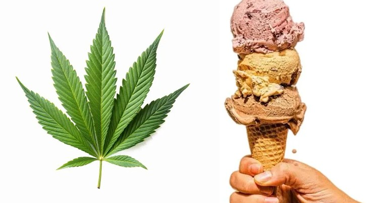 Protecting the Future of Cannabis Culture with Safe Practices