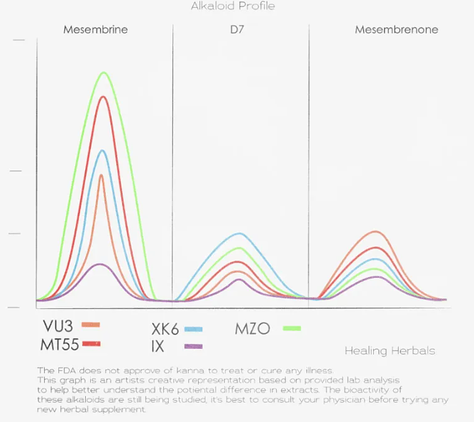 Tripper Advisor: The Rise of Kanna in Modern Ethnobotanical Markets