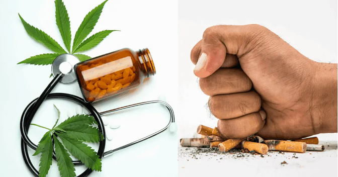 Medical Cannabis Legalization Linked to Lower Tobacco & Amphetamine Use