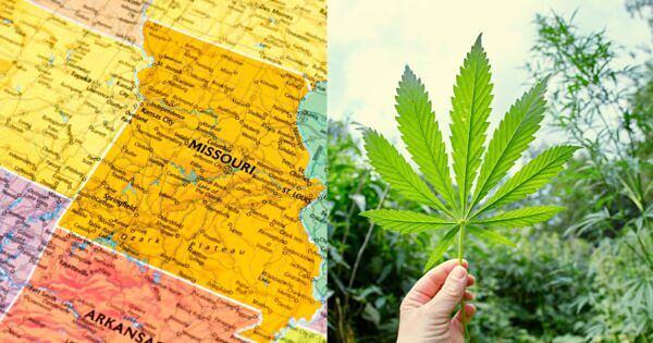 Missouri Takes Aim at “Predatory” Contracts in Cannabis Social Equity Program