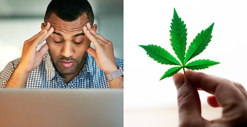 Men’s Health Month: Why Cannabis Belongs in the Wellness Conversation