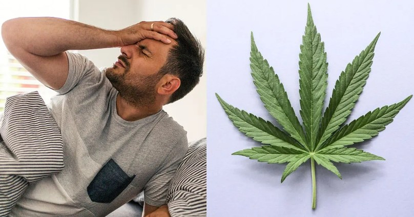 Cannabis Shows Promise for Migraine Relief in Placebo-Controlled Clinical Trial