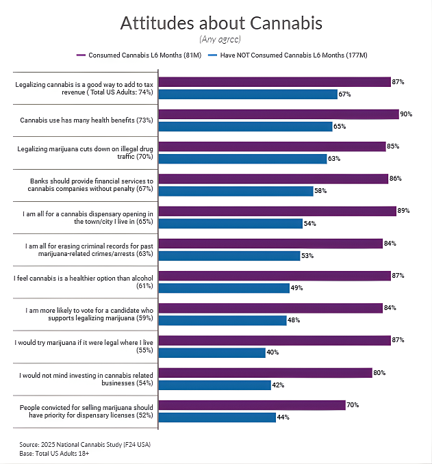 Cannabis is Now a Mainstream Wellness Product Study Shows