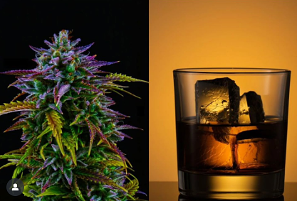 Study Shows Cannabis Use May Reduce Liver Disease Risk in Heavy Drinkers