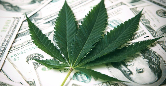 FULL NEWS STORY Michigan Governor Signs 24% Wholesale Cannabis Tax Into Law
