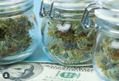 Michigan’s New Wholesale Cannabis Tax Hit with Lawsuit Seeking Preliminary Injunction