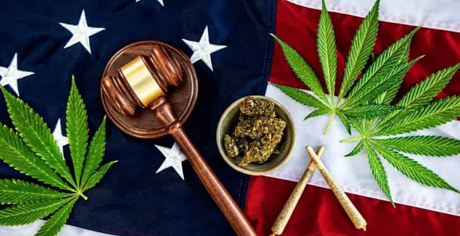   FULL NEWS STORY The Great Cannabis Reclassification Debate: Who Really Wins?