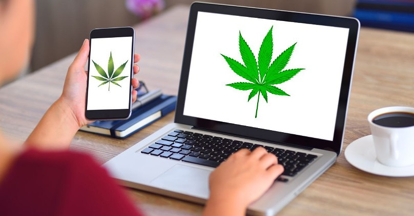 The Traffic Trap: Why Most Cannabis Businesses and Brands Are Invisible Online and What to Do About It