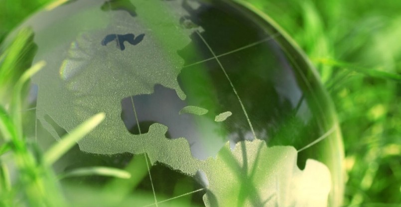 The Global Roots of Plant Medicine: Why Cannabis Has Always Been Part of the Plan