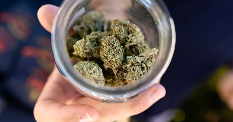 Blue Dream: A Cannabis Conoisseur’s Guide