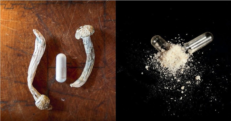 FDA Commissioner Says Exploring Psychedelic Medicine is a Top Priority