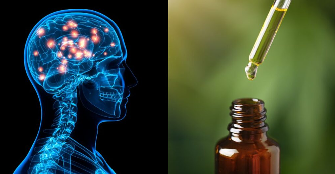 CBD Shows Promise for Age-Related Memory Loss in New Study