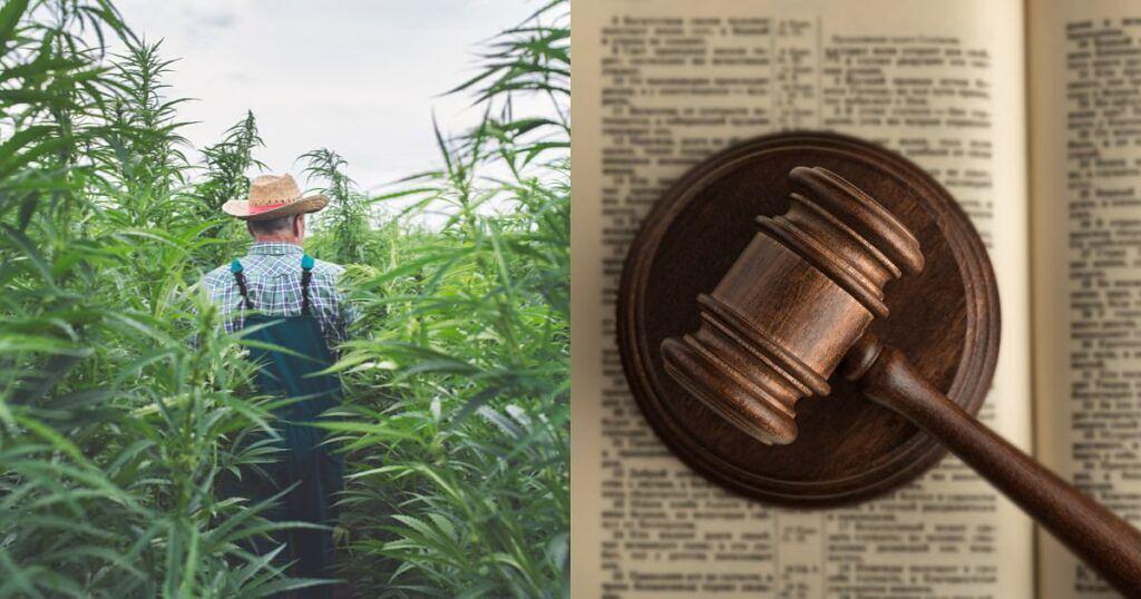 A New Bill Seeks to Repeal the Federal Hemp Ban