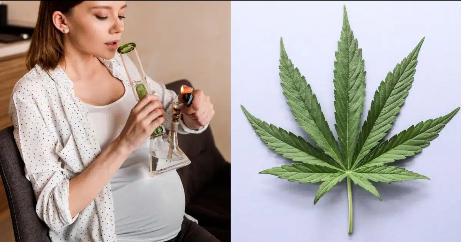 Prenatal Cannabis Use Shows No Link To Early Childhood Disorders According To Studies