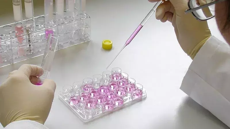 Exploring Molecular Testing, Advancements, Applications, and Future Trends