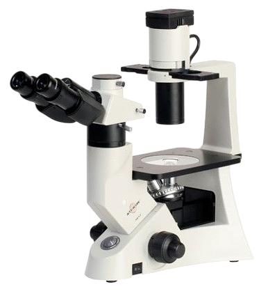 Lab Microscopes Guide: Brightfield, Fluorescence, Confocal & More