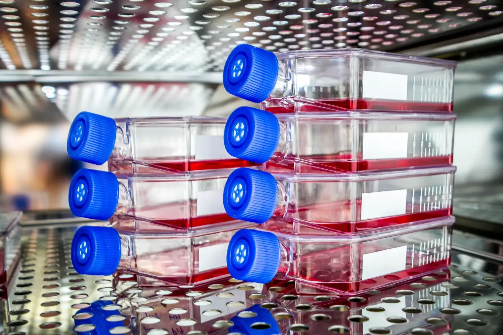 Cell Culture Analyzers: Applications, Benefits & Buying Guide