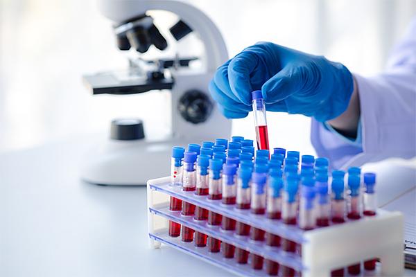 Efficiency and Precision, Essential Lab Equipment for Molecular Testing