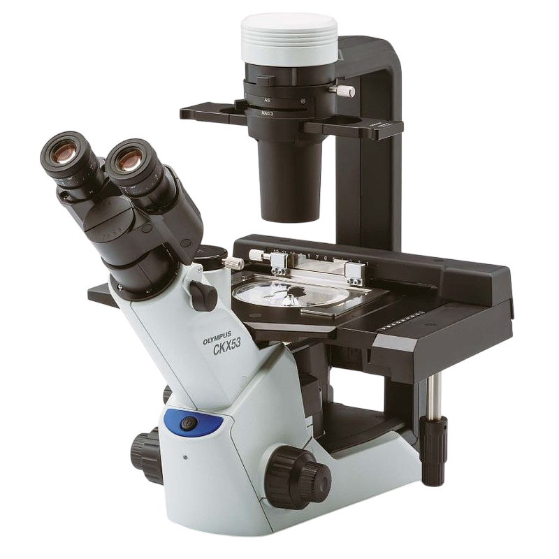 Lab Microscopes Guide: Brightfield, Fluorescence, Confocal & More