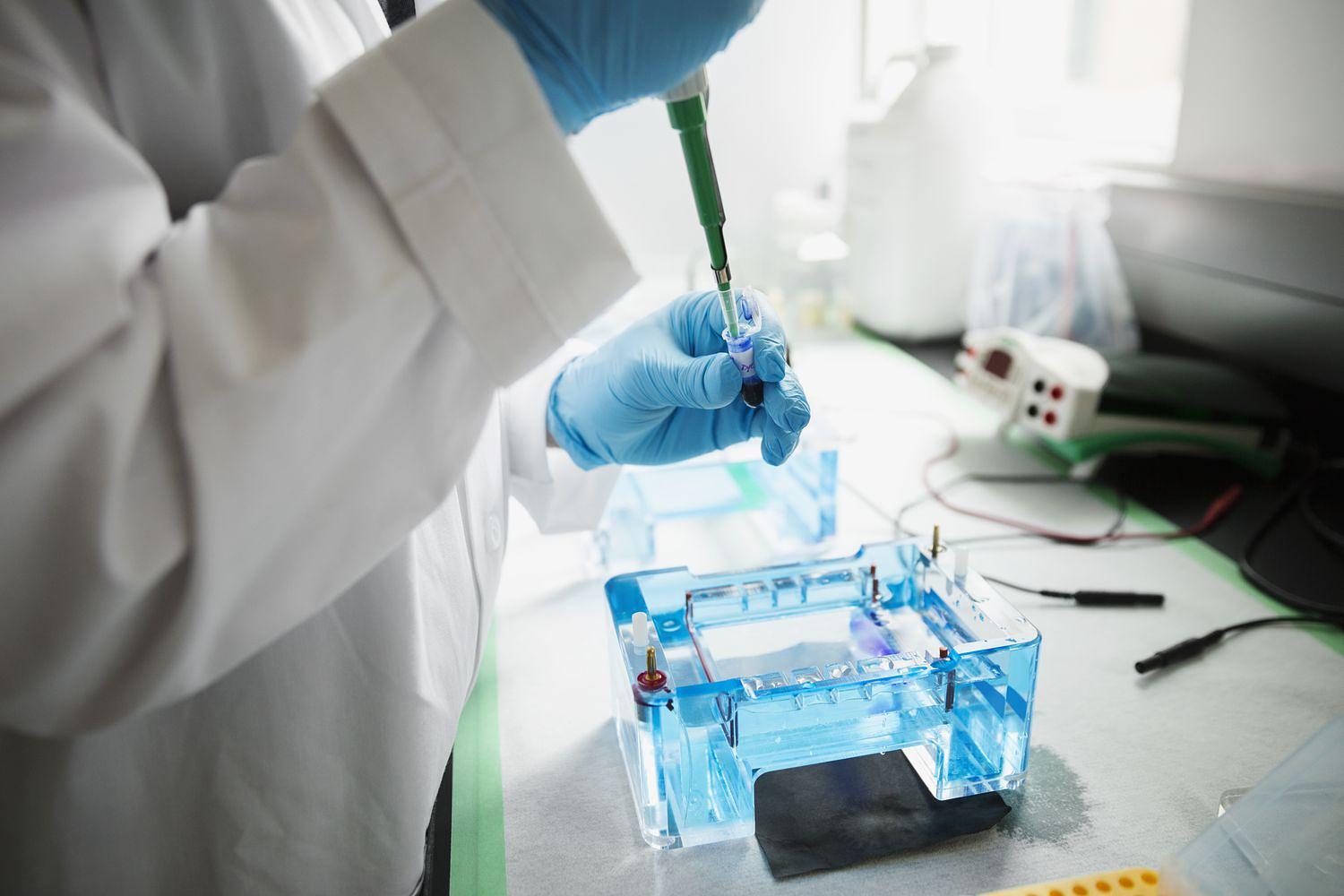 Guide to Capillary Electrophoresis Analyzers: Applications, Benefits & Buying