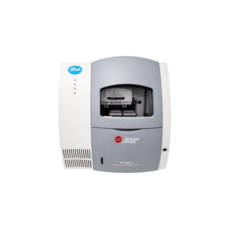 Guide to Capillary Electrophoresis Analyzers: Applications, Benefits & Buying