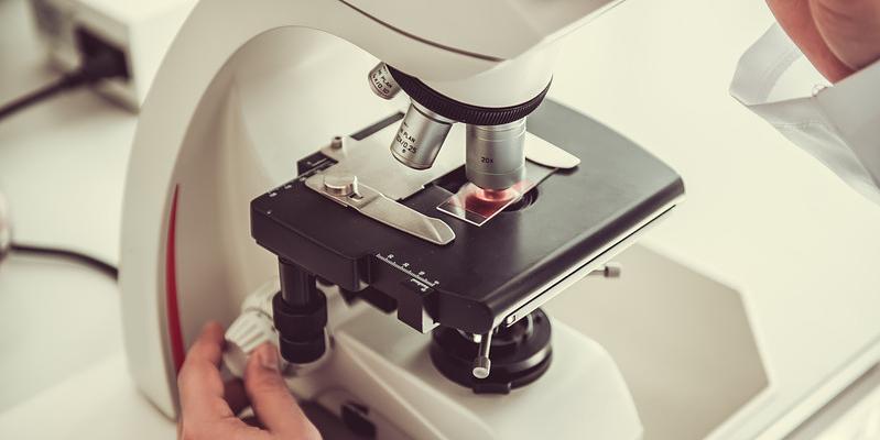 Unveiling Histology, LabLink's Support