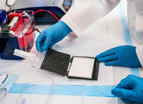Western Blot Systems: Protein Transfer, Imaging & Detection Buying Guide