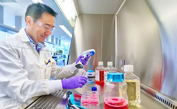 Cell Culture Analyzers: Applications, Benefits & Buying Guide