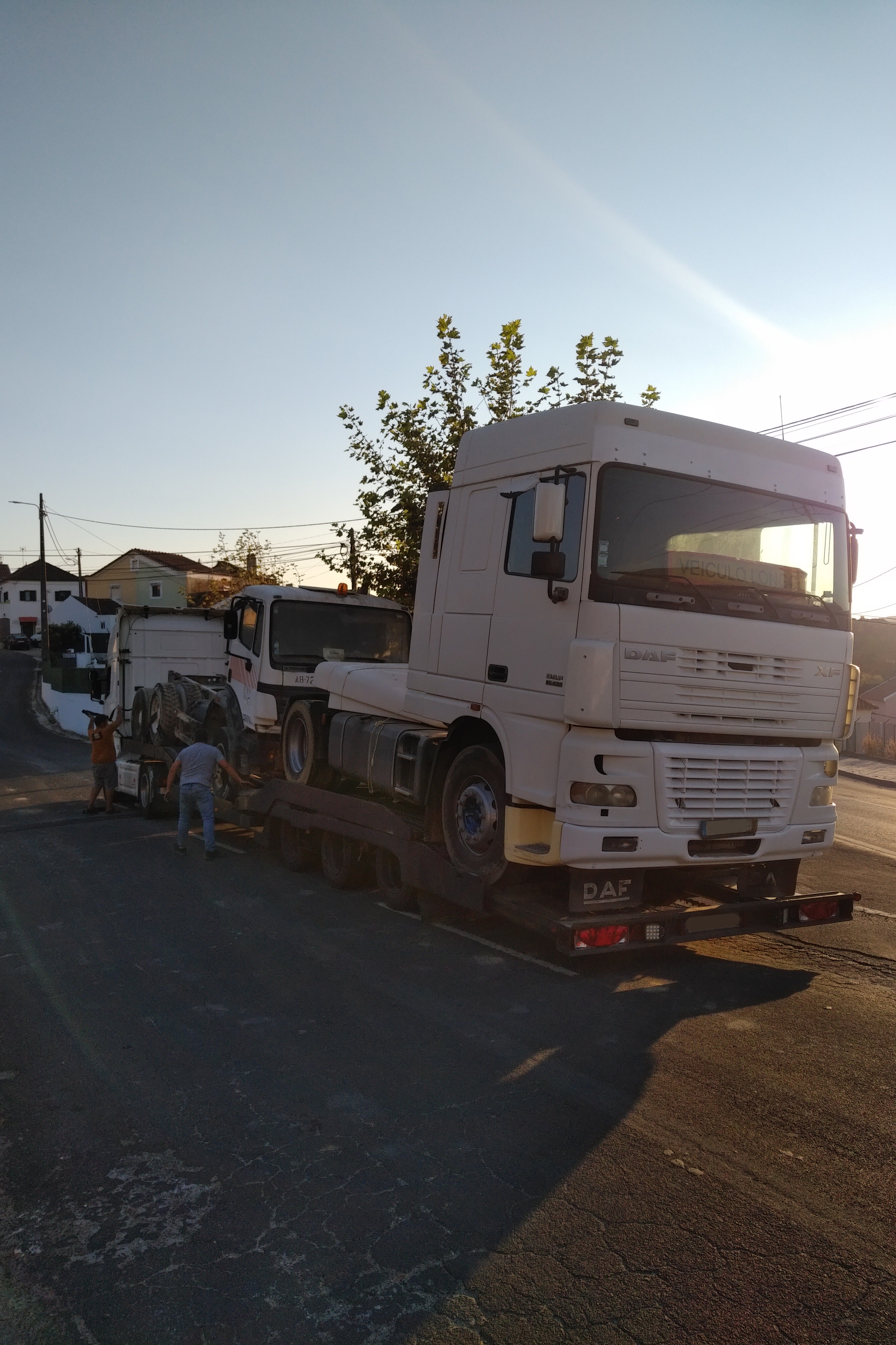 Transport & Delivery to The Netherlands.