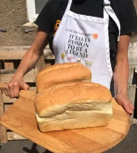 Excalubur Rotating Rack Oven - NOT JUST FOR BAGELS