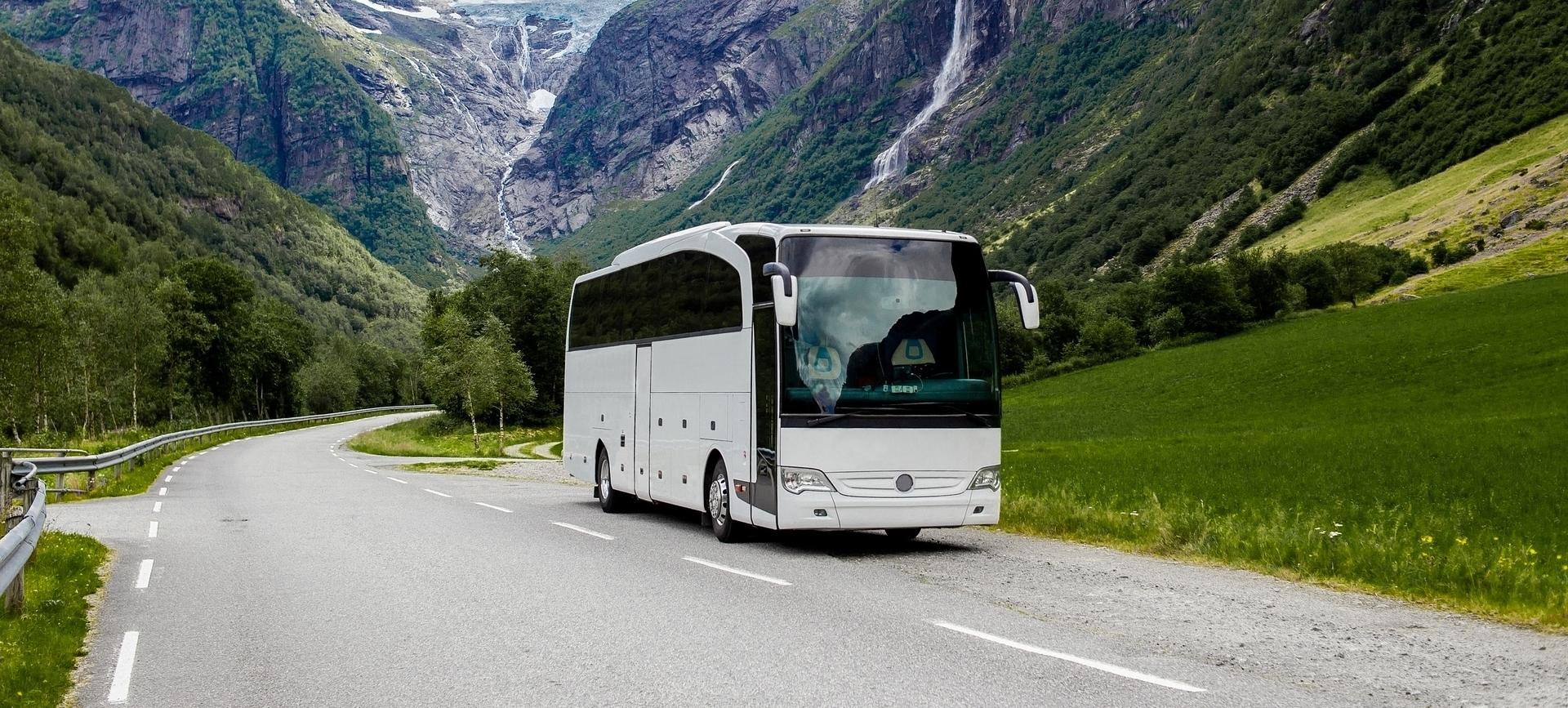 We Have What Drives You